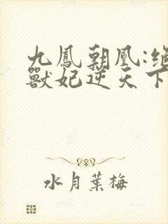 九凤朝凰:绝色兽妃逆天下