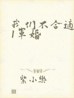 我们不合适1v1军婚