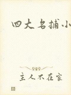 四大名捕小说