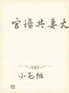 官场共妻大交换