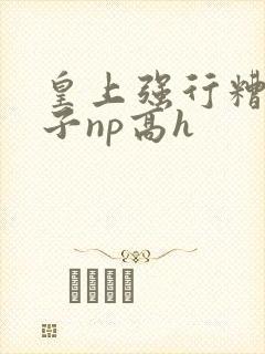 皇上强行糟蹋太子np高h