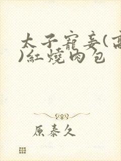 太子宠妾(高肉)红烧肉包