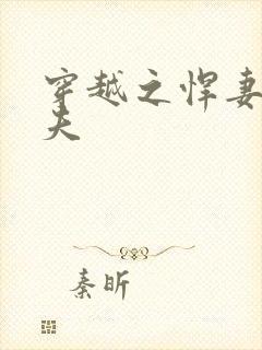 穿越之悍妻共三夫