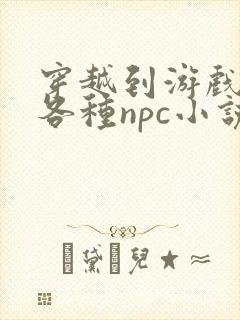 穿越到游戏里和各种npc小说