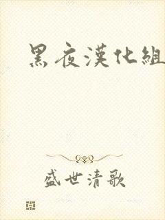 黑夜汉化组