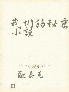 我们的秘密泰剧小说