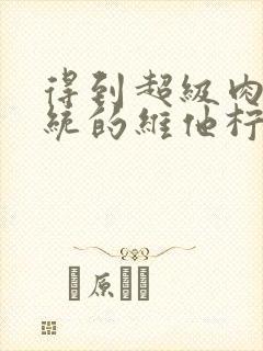 得到超级肉禽系统的维他柠檬茶