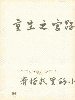 重生之官路风流