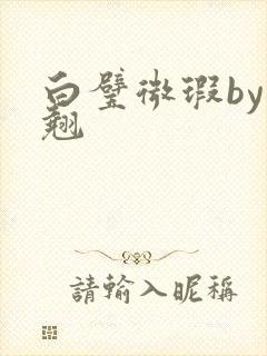 白璧微瑕by连翘