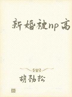 新婚被np高h