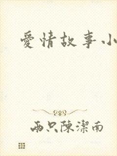 爱情故事小说