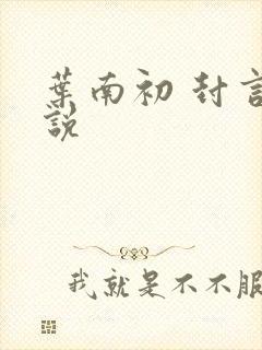 叶南初 封言小说