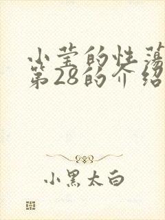 小莹的性荡生活第28的介绍