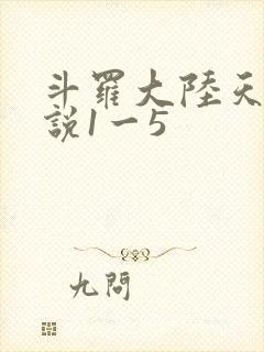 斗罗大陆天狂传说1一5