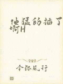 他猛的插了进去啊H