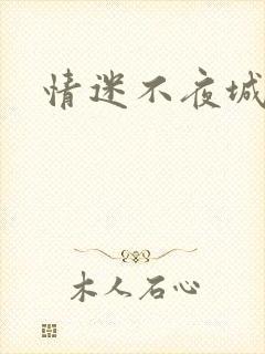 情迷不夜城