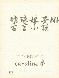 明珠娘子NPC古言小说