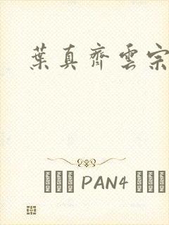 叶真齐云宗免费