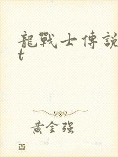 龙战士传说txt