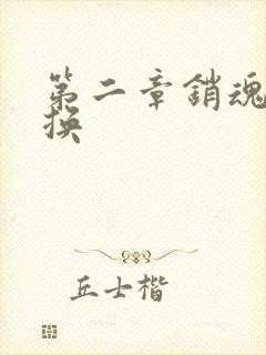 第二章销魂的交换