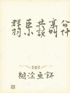 群臣共享公主银羽小说叫什么