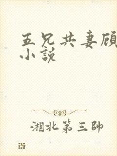 五兄共妻顾心儿小说