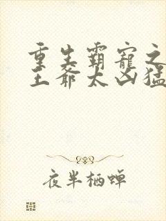 重生霸宠之摄政王爷太凶猛