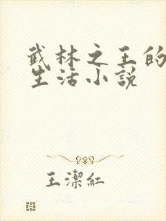 武林之王的退隐生活小说