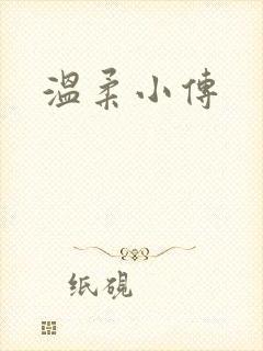 温柔小传