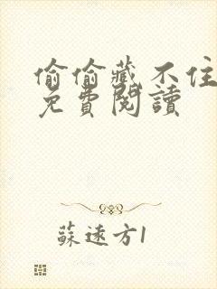 偷偷藏不住小说免费阅读