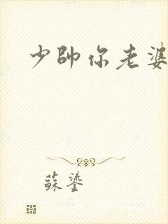 少帅你老婆