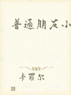 普通朋友小说