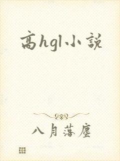 高hgl小说