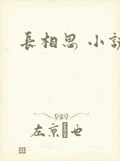 长相思 小说