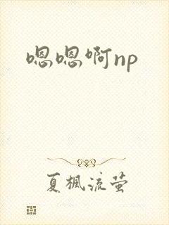 嗯嗯啊np