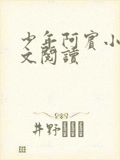 少年阿宾小说全文阅读