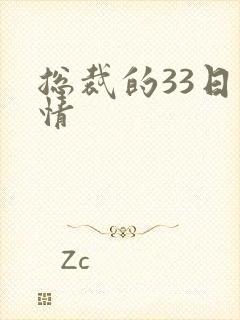 总裁的33日索情