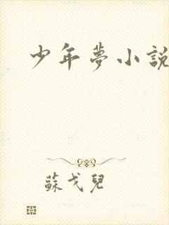 少年梦小说