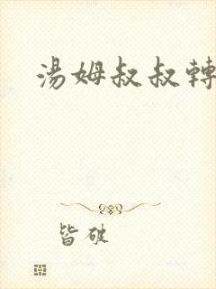 汤姆叔叔转接口