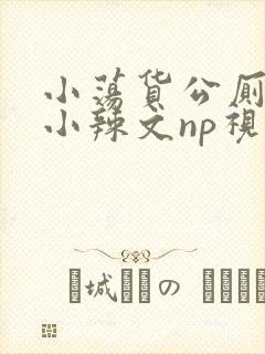 小荡货公厕h文小辣文np视频