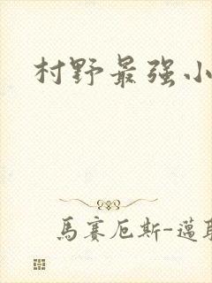 村野最强小农民