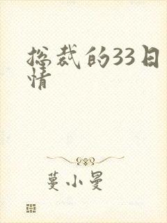 总裁的33日索情