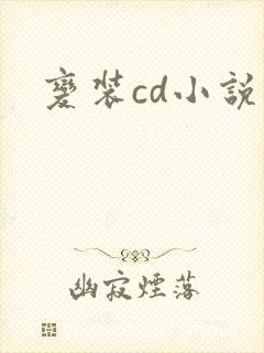 变装cd小说