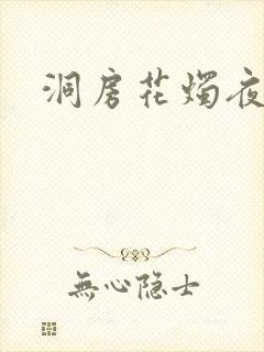 洞房花烛夜小说