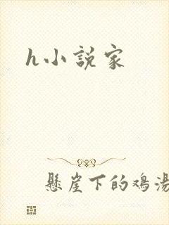 h小说家