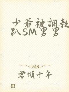 少爷被调教室跪趴SM男男