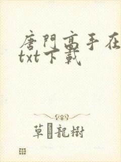 唐门高手在异世txt下载