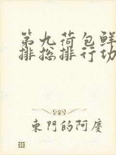 第九荷包鲜辣肉排总排行功能介绍