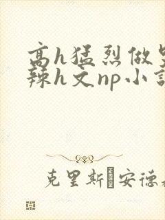 高h猛烈做哭高辣h文np小说