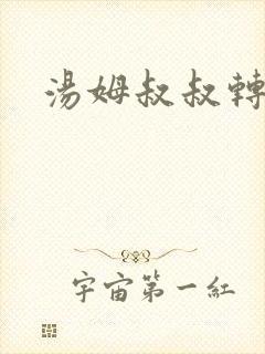 汤姆叔叔转接口